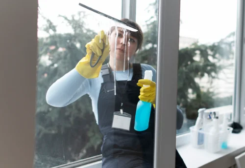 Nettoyage de vitres intérieures et extérieures à Pierre-Châtel